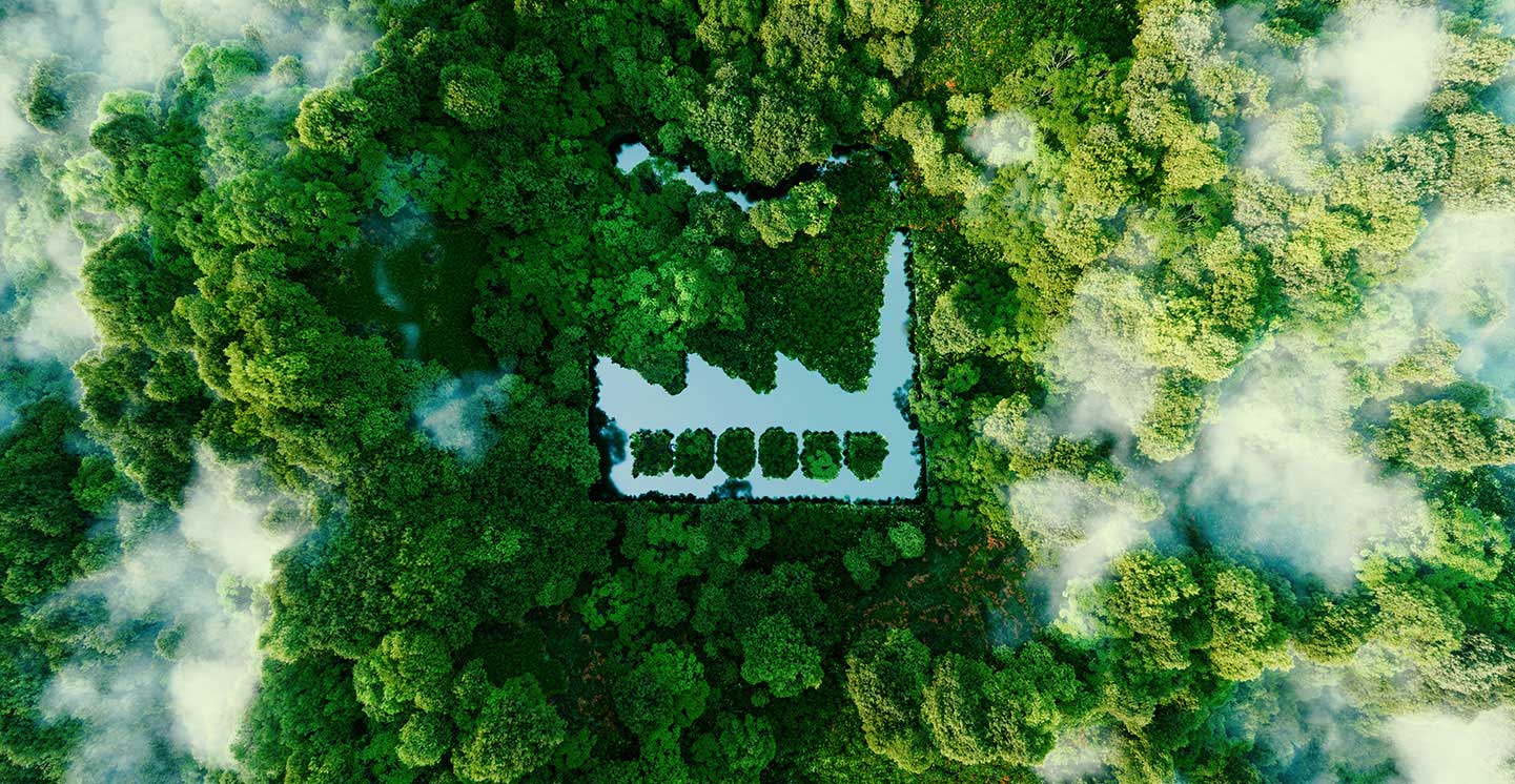 Vue aérienne d'une fôret d'arbres verts