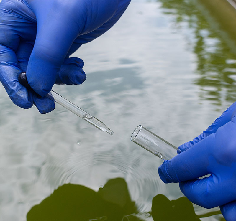 Prélèvement d'eau pour analyse