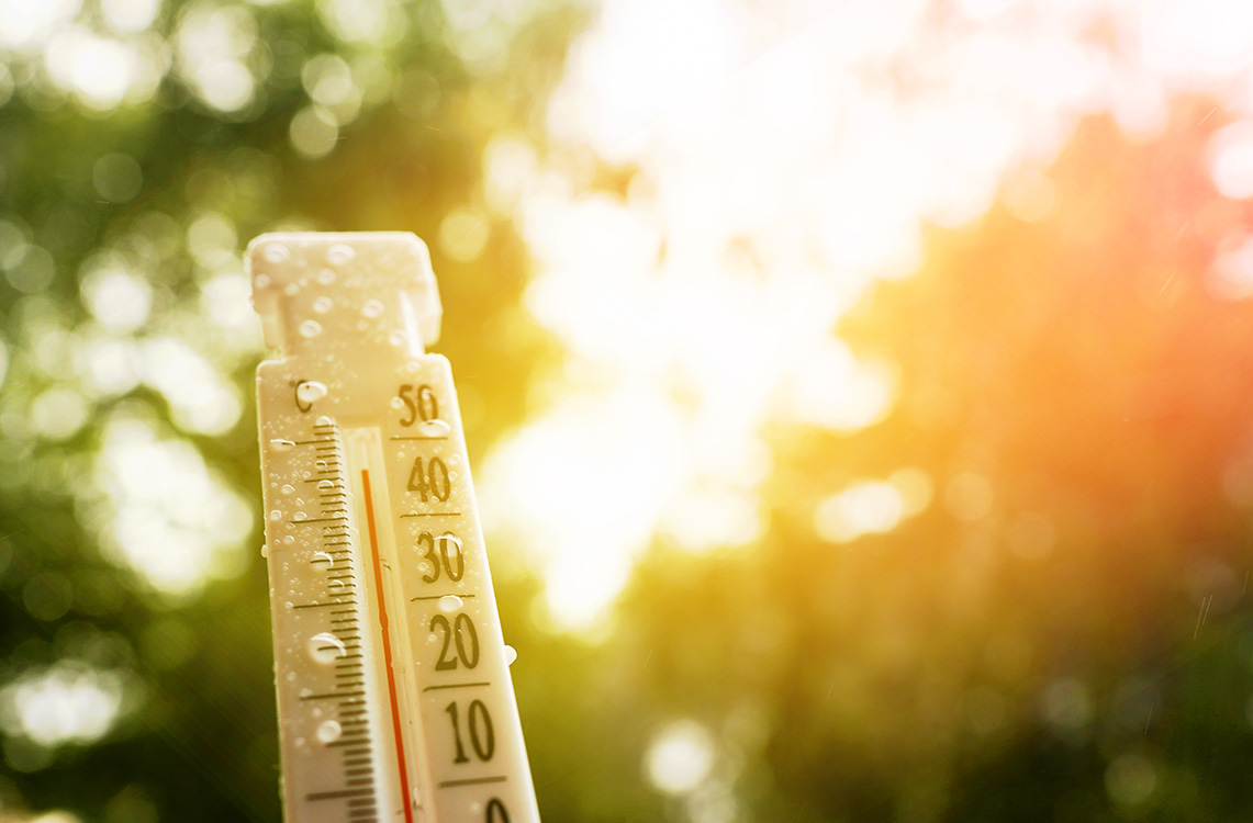 Adaptation au changement climatique