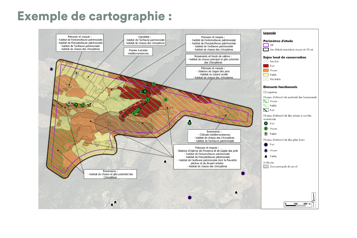 cartographie
