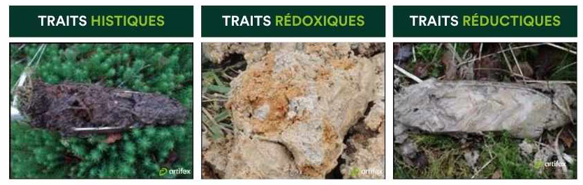 Sondages pédologiques