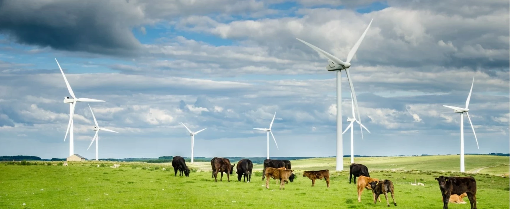 BIodiversité et éolien