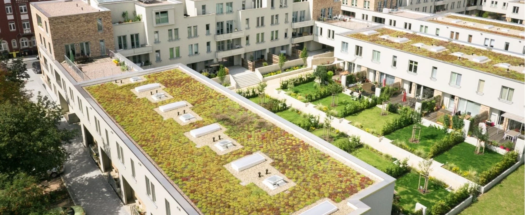 Toitures végétales sur immeuble
