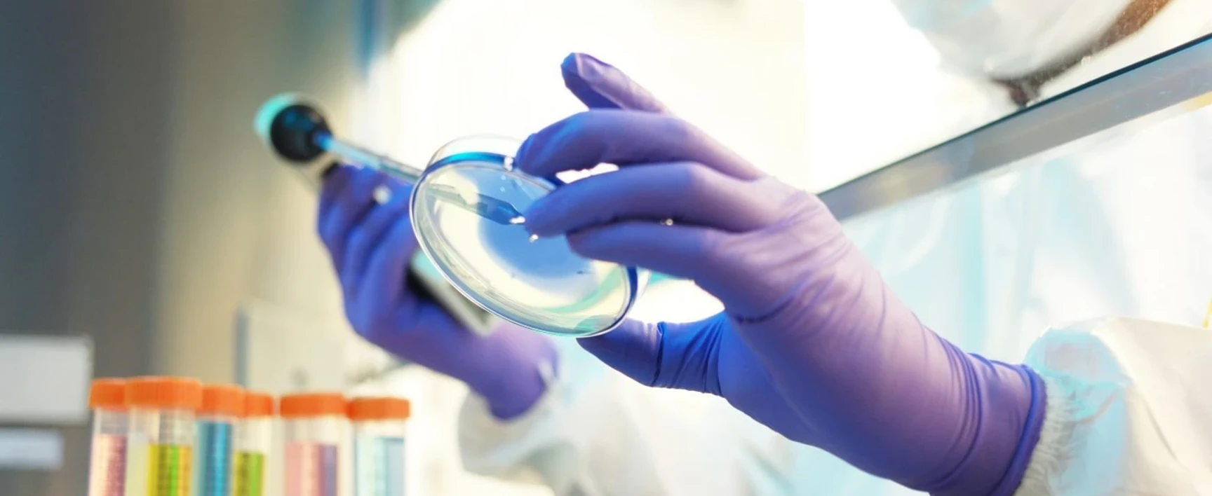 Perturbateur endocriniens