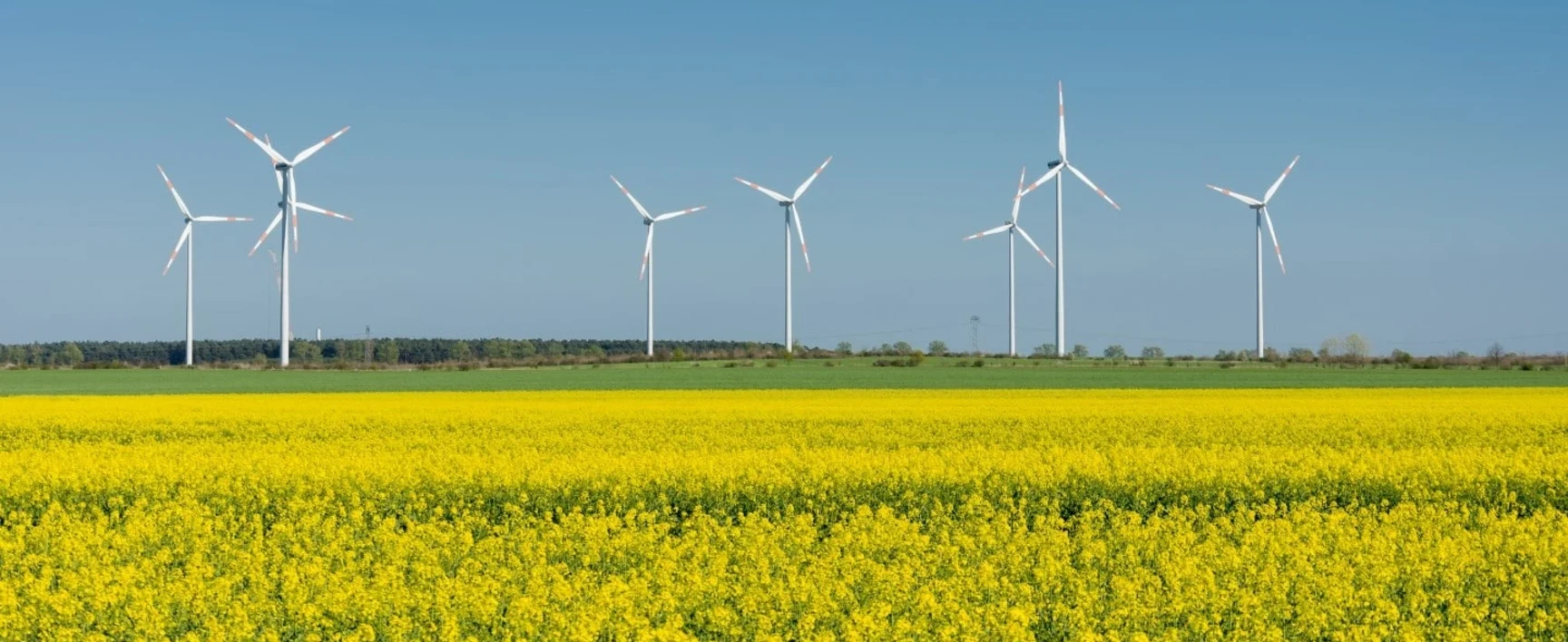 Parc éoliens : l'énergie verte