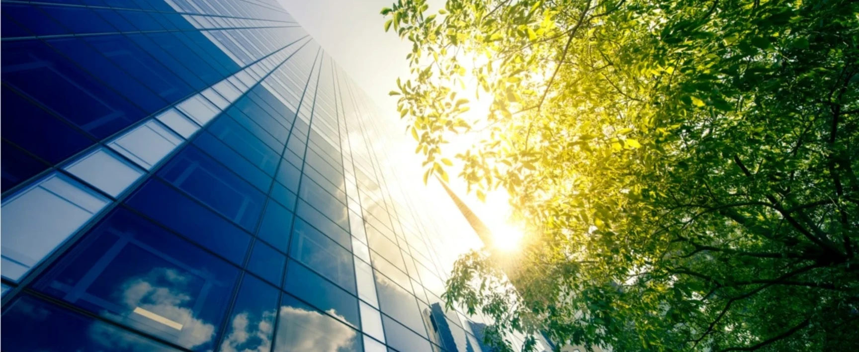 446-certifications-environnementales-header-image.jpg