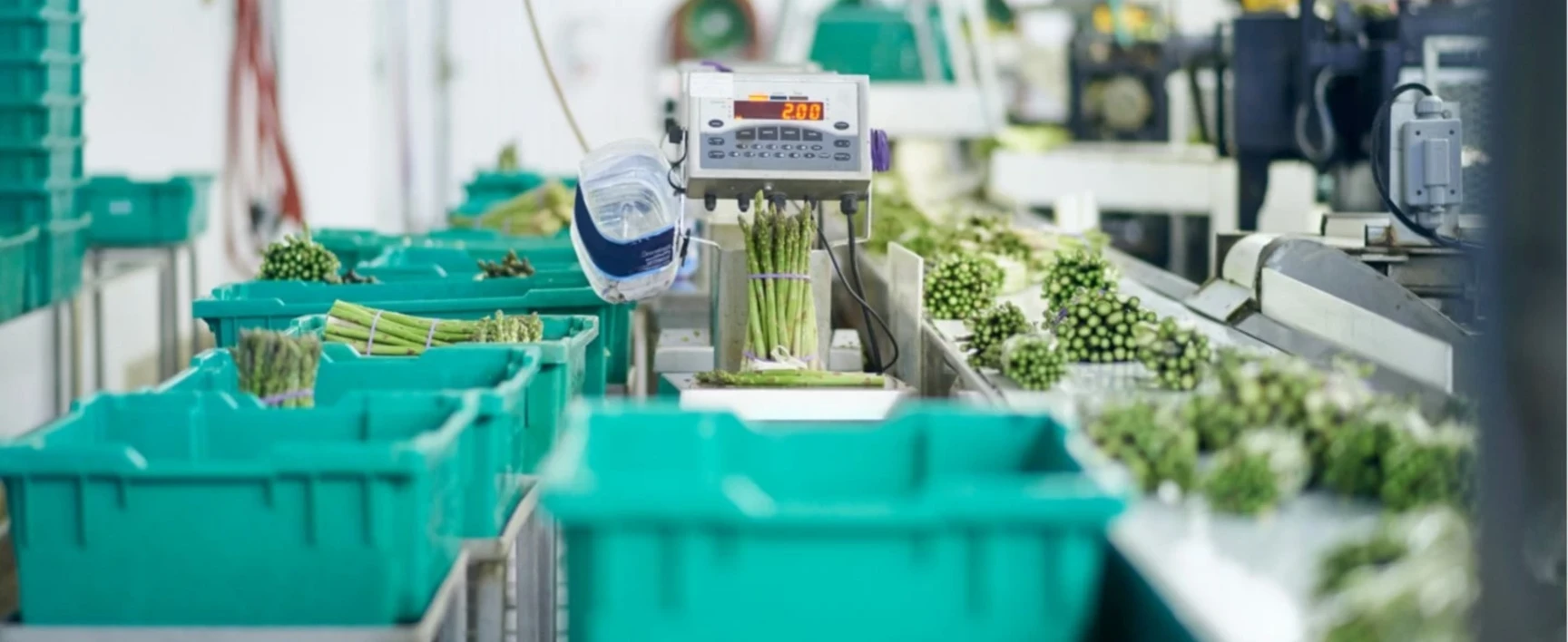 Industrie agro-alimentaire