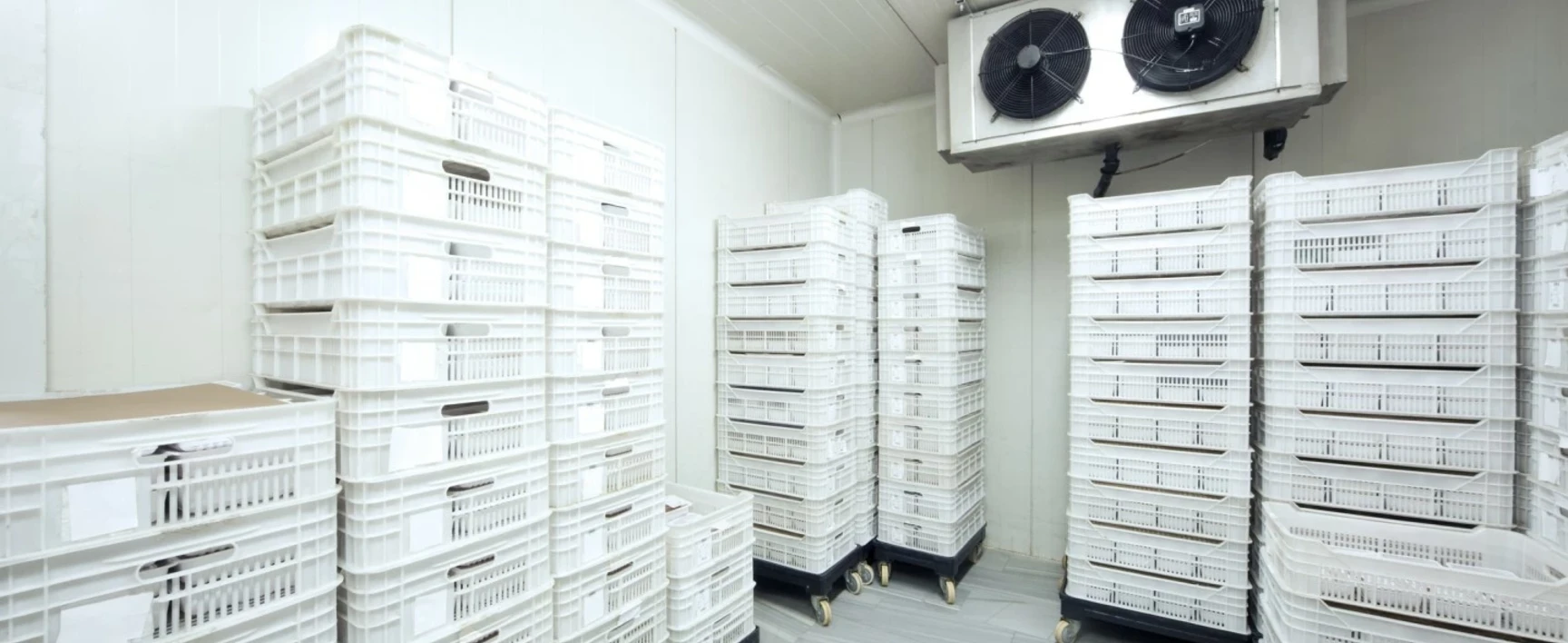 esp_frigorifiques_blog_socotec
