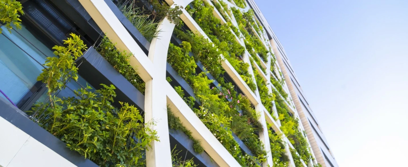 socotec_green_bim_batiment_verdure