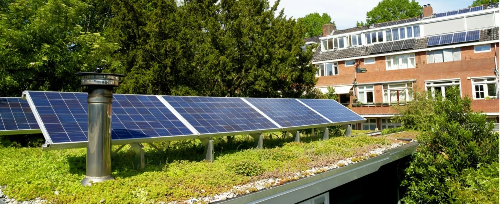 socotec-toitures-vegetalise-entretien