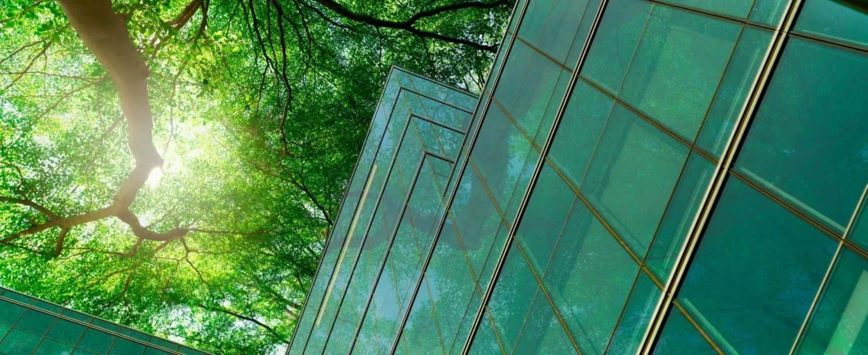taxonomie-europenne-socotec-min