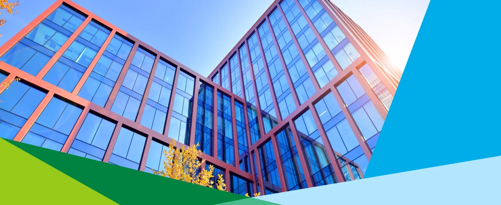 Immeuble de bureaux en verre durable avec des arbres
