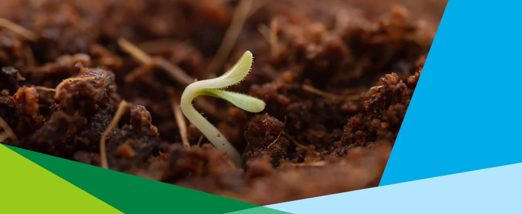 Webinaire SOCOTEC - Du sol dégradé au sol fertile : comment réussir la renaturation écologique - 15 mai 2025 - 11h