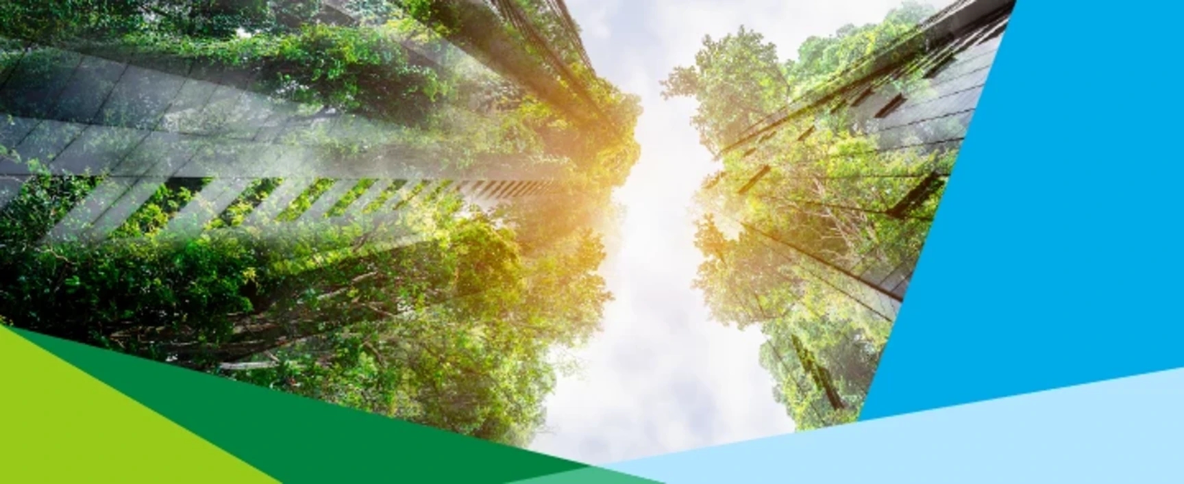 Gestion du risque radon dans vos établissements