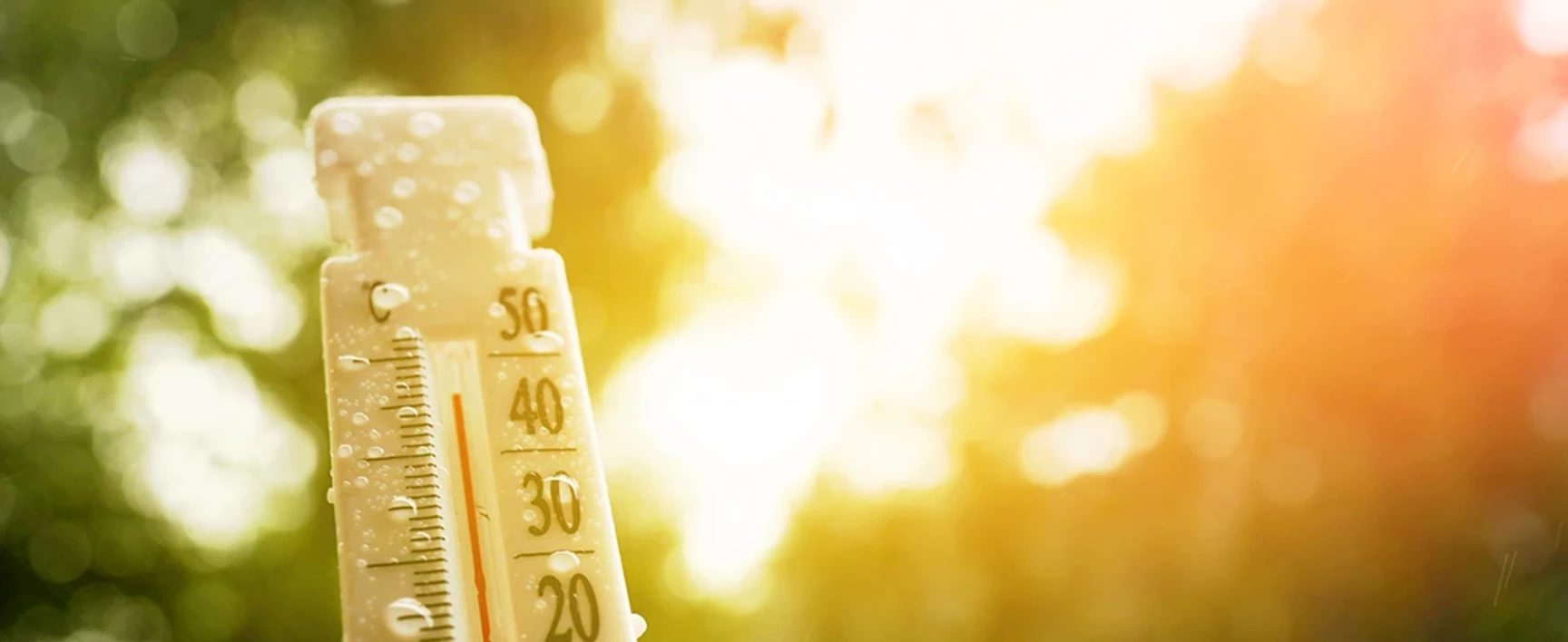 Adaptation au changement climatique