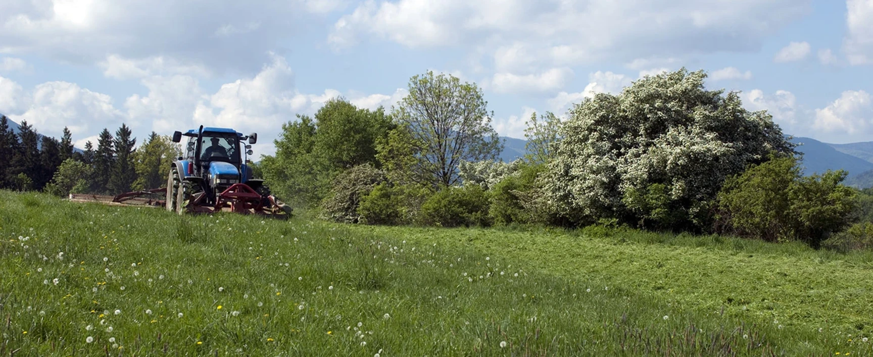 socotec-debroussaillage-biodiversite-agriculture