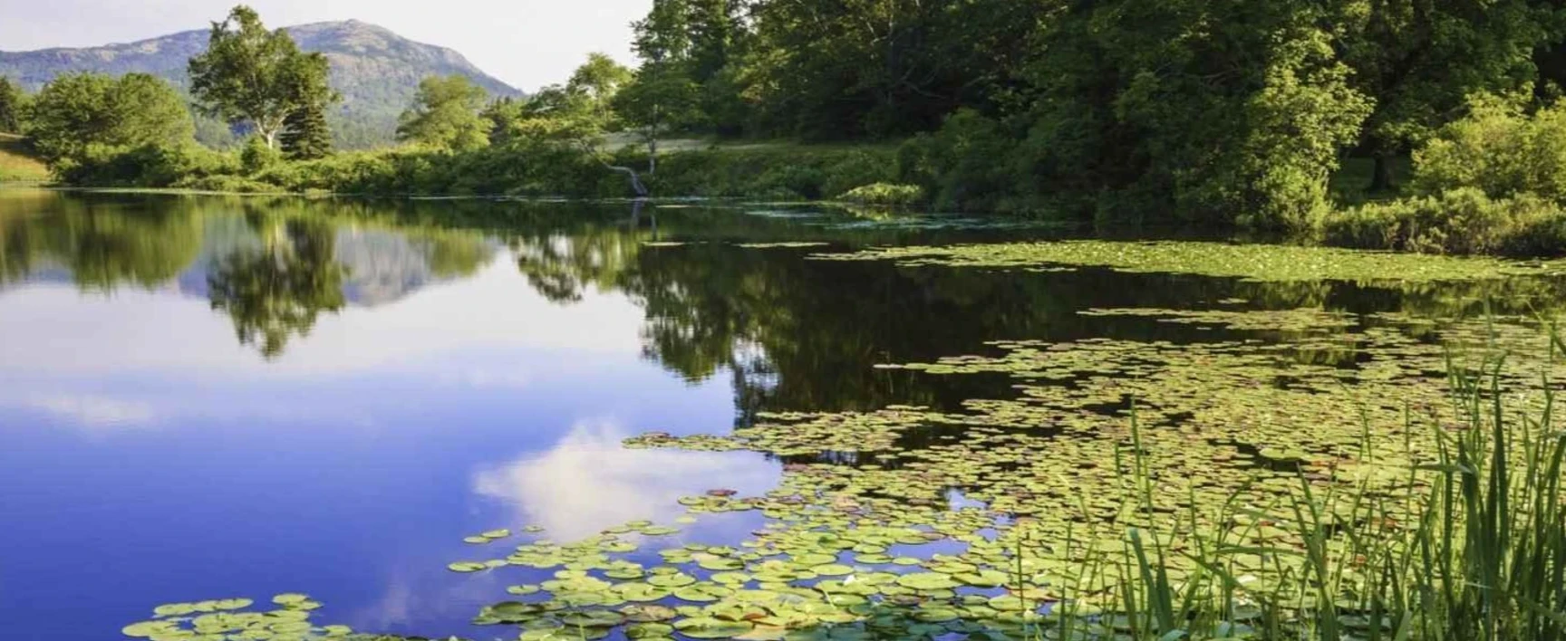 gestion-eau-environnement