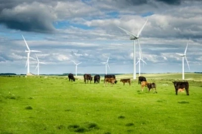 BIodiversité et éolien