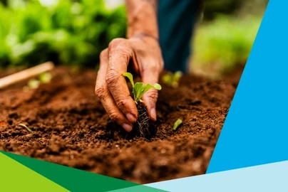 webinaire - sol fertile