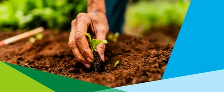 webinaire - sol fertile