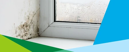 Mur et fenêtre avec des moisissures dues à l'humidité