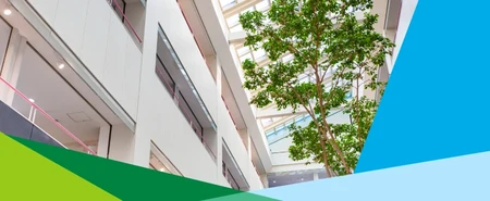 Arbre dans l'atrium d'un bâtiment tertiaire, belle lumière