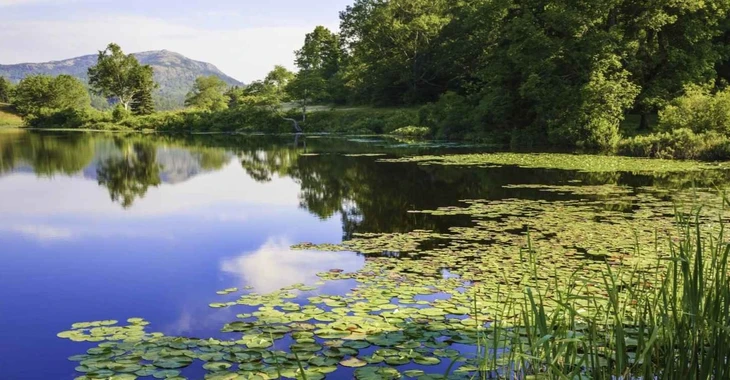 gestion-eau-environnement